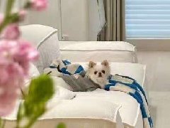 100㎡ 留白：让时光慢下来的家
