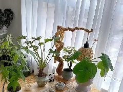 135㎡治愈系宅邸，装满人间温柔